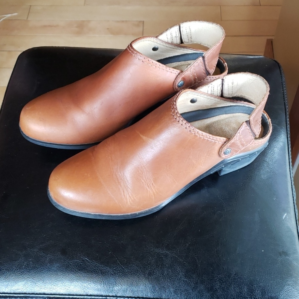 ARIAT Sport Mule in Timber